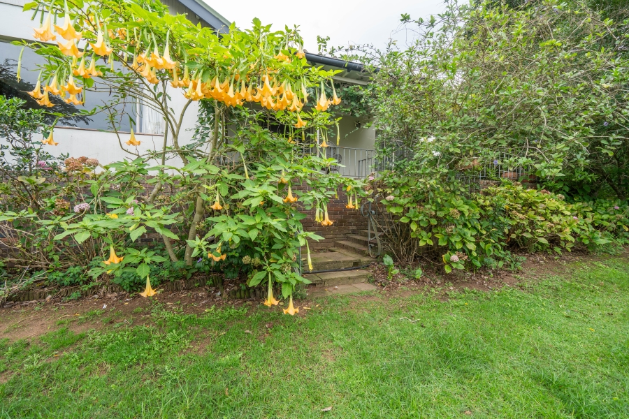 4 Bedroom Property for Sale in Bathurst Eastern Cape